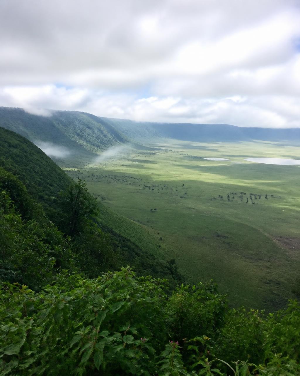 Ngorongoro & Rift Lakes